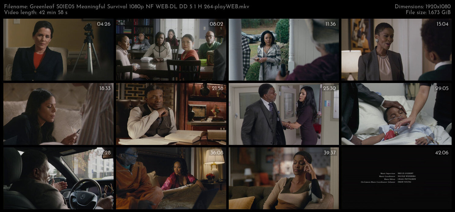 Greenleaf S01E05 Meaningful Survival 1080p NF WEB DL DD 5 1 H 264 playWEB TGx