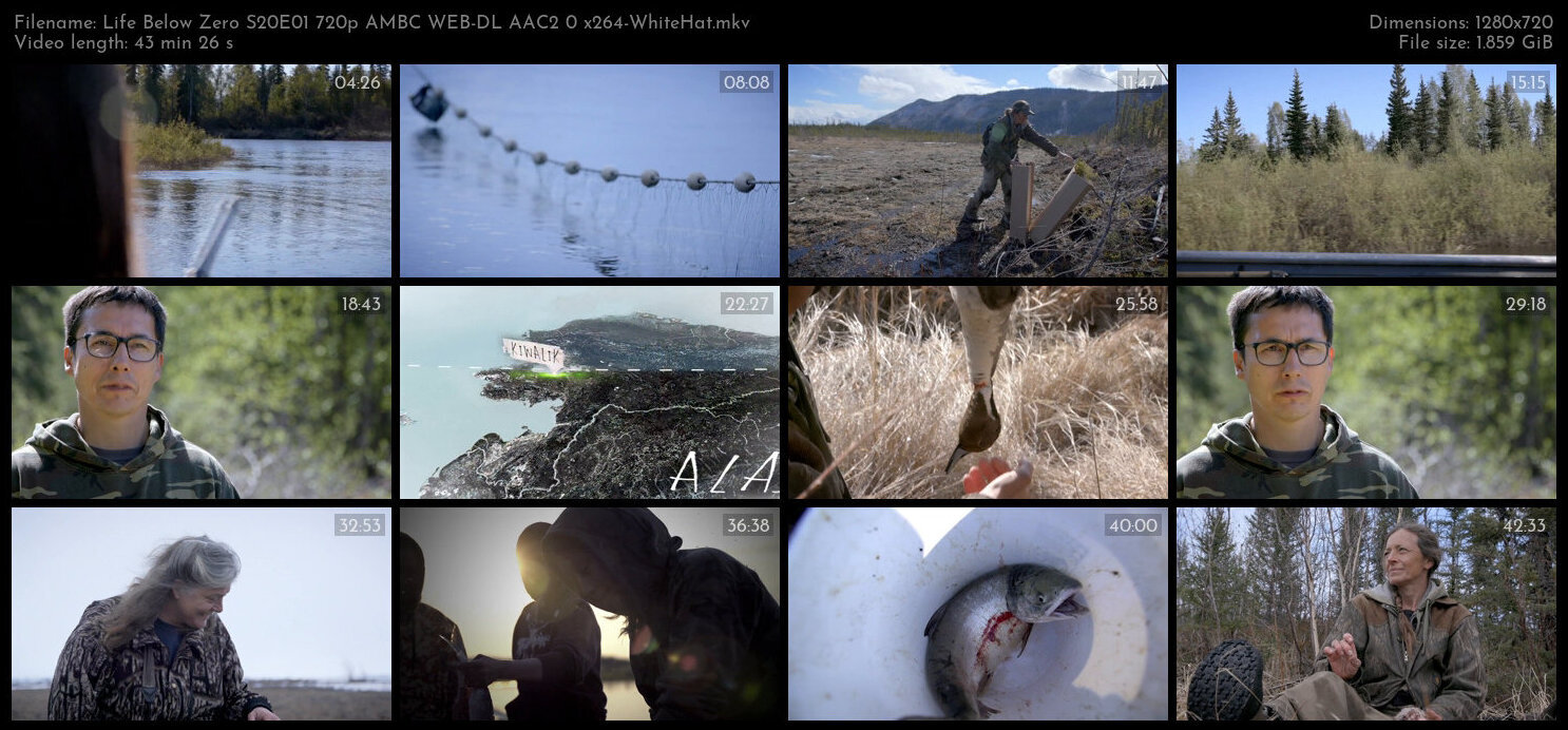 Life Below Zero S20E01 720p AMBC WEB DL AAC2 0 x264 WhiteHat TGx