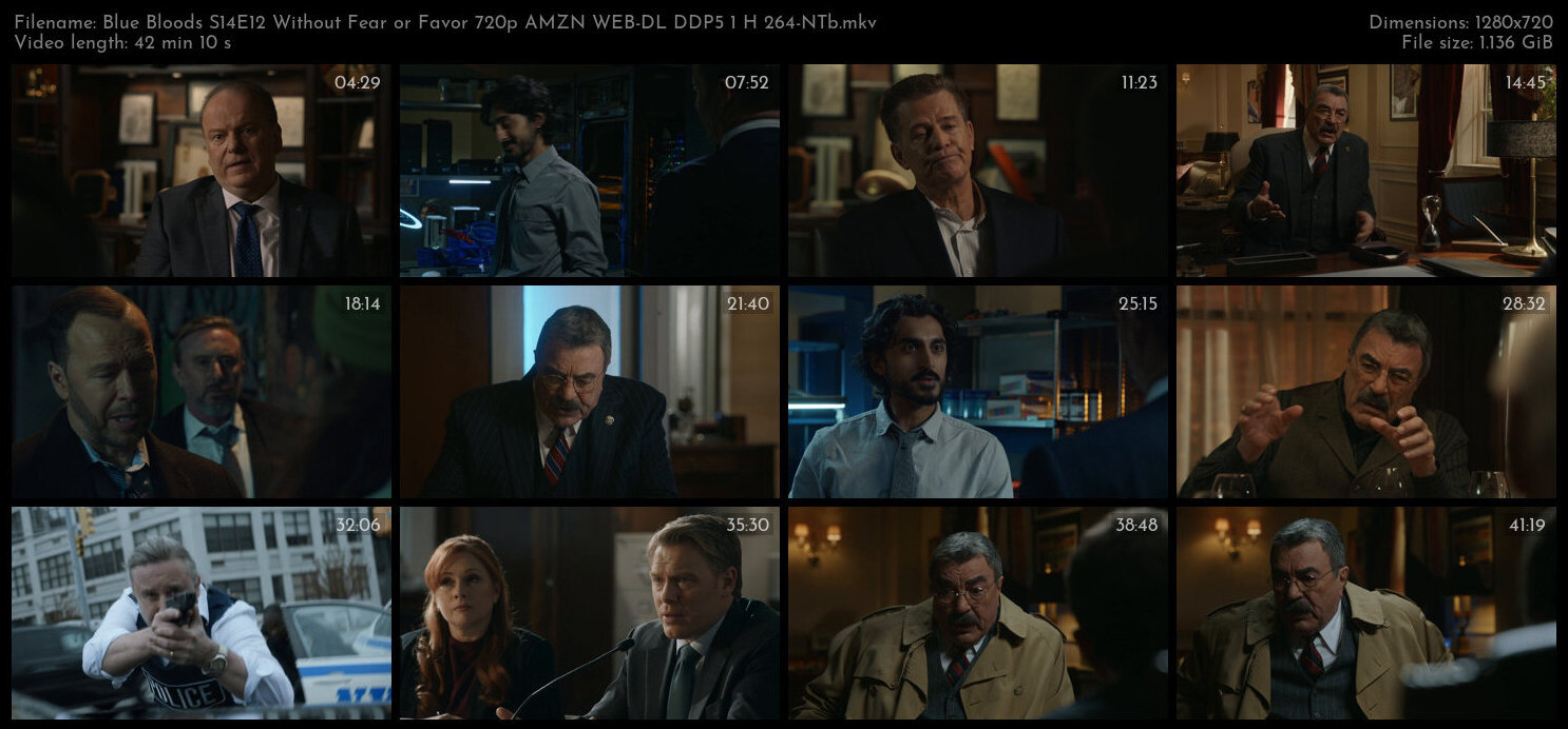 Blue Bloods S14E12 Without Fear or Favor 720p AMZN WEB DL DDP5 1 H 264 NTb TGx