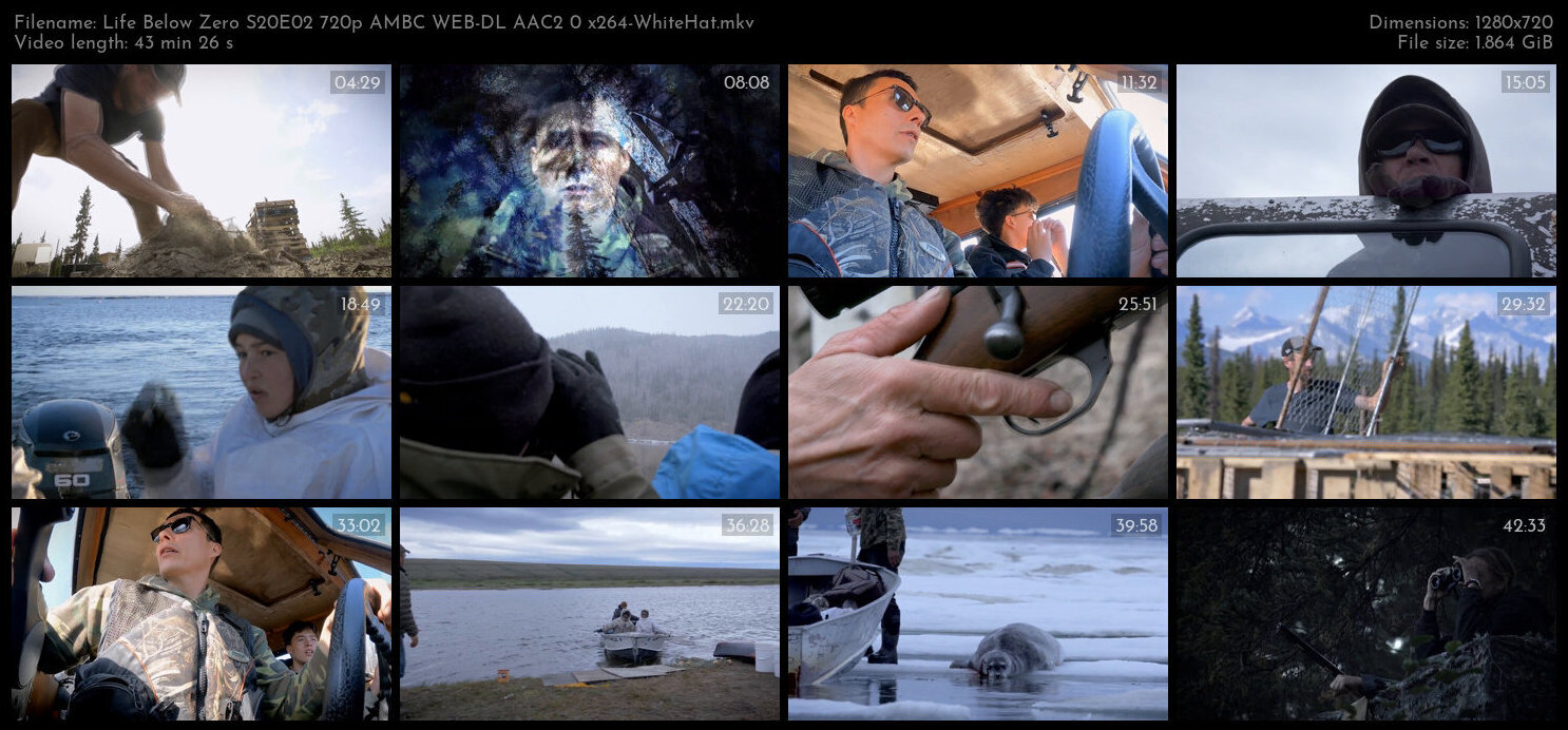 Life Below Zero S20E02 720p AMBC WEB DL AAC2 0 x264 WhiteHat TGx