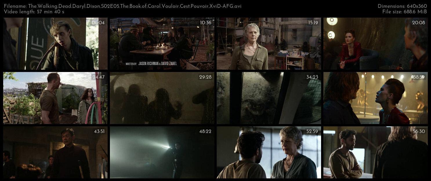 The Walking Dead Daryl Dixon S02E05 The Book of Carol Vouloir Cest Pouvoir XviD AFG TGx