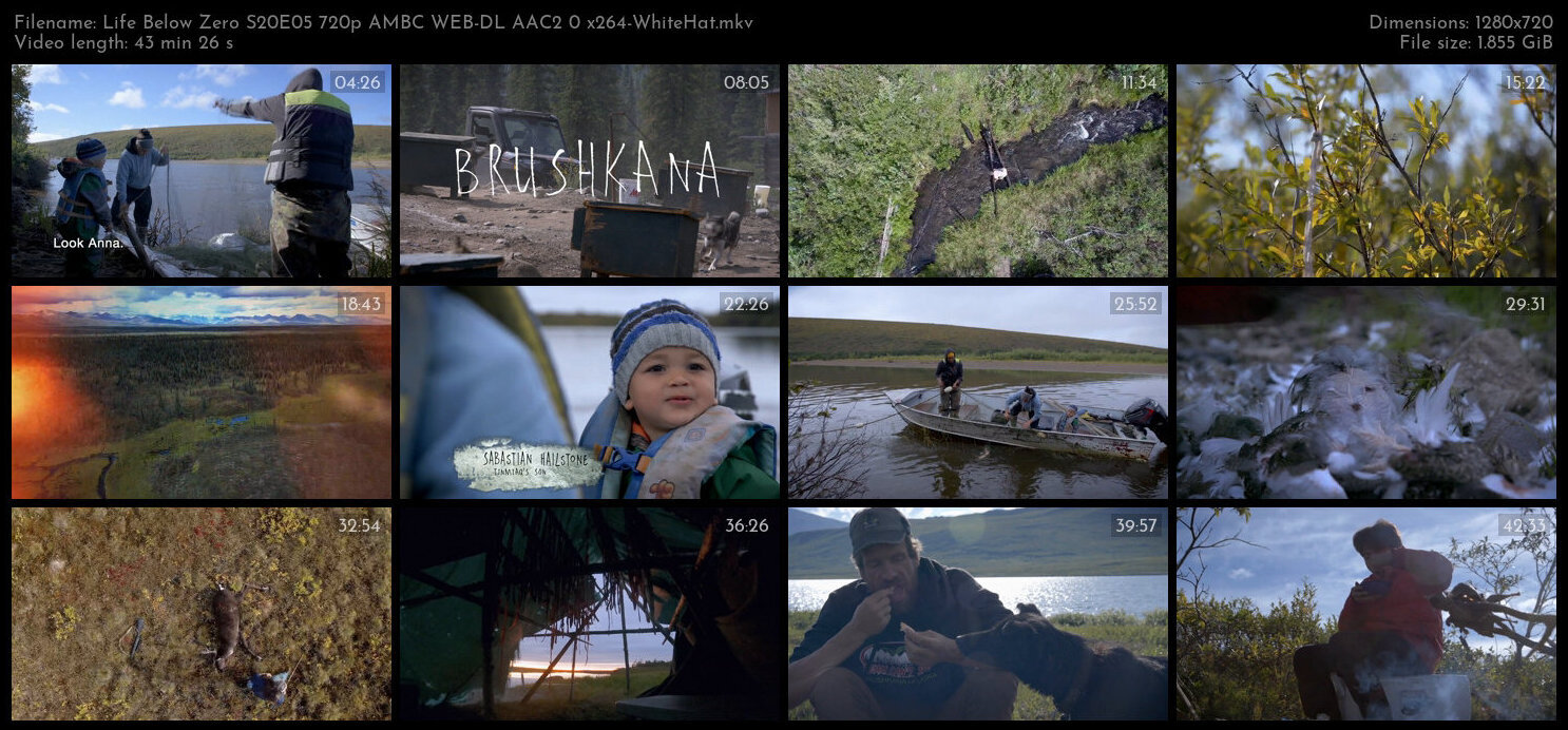 Life Below Zero S20E05 720p AMBC WEB DL AAC2 0 x264 WhiteHat TGx