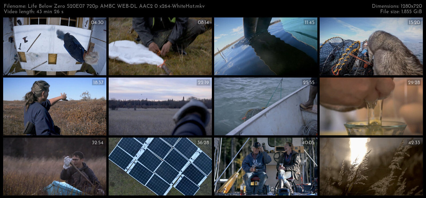 Life Below Zero S20E07 720p AMBC WEB DL AAC2 0 x264 WhiteHat TGx