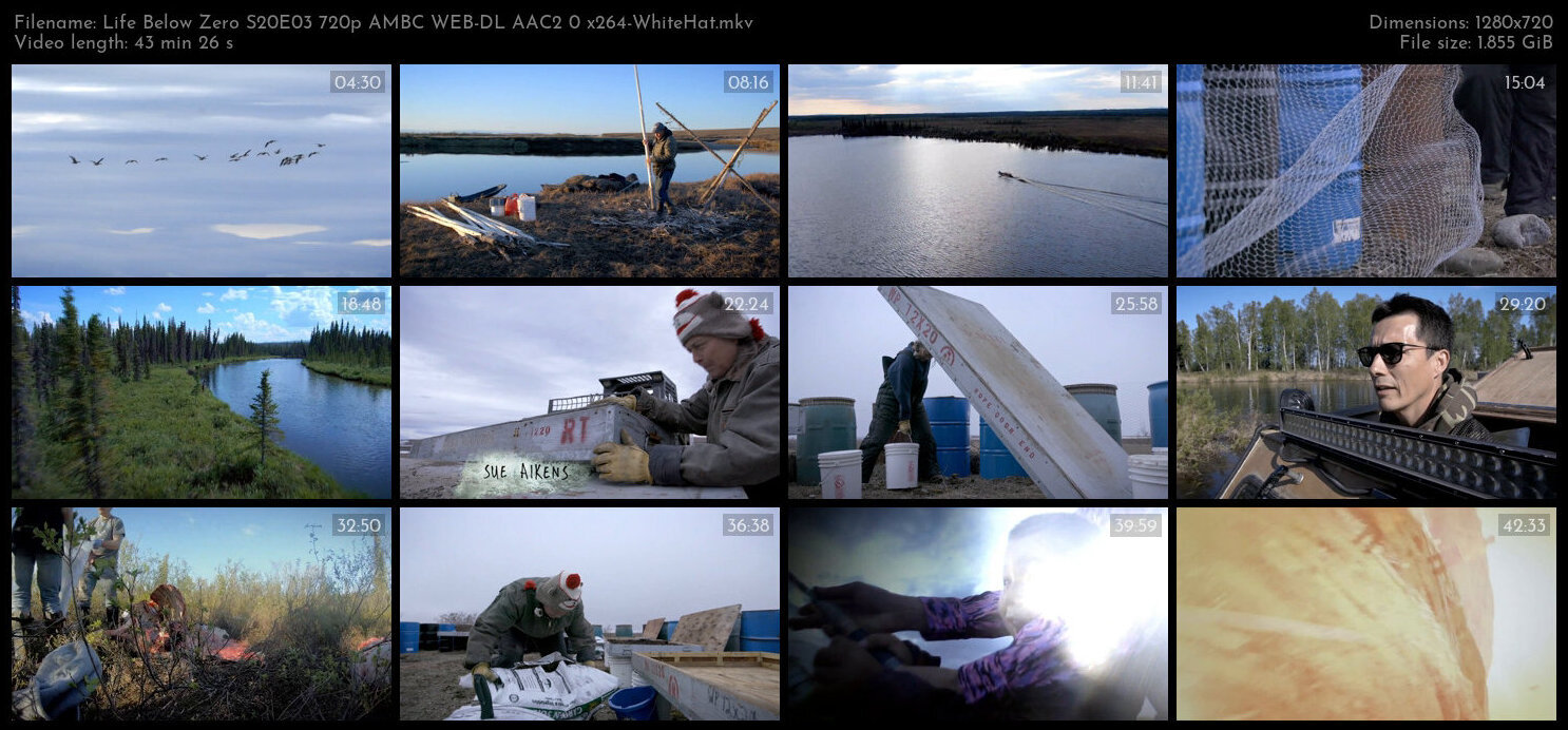 Life Below Zero S20E03 720p AMBC WEB DL AAC2 0 x264 WhiteHat TGx