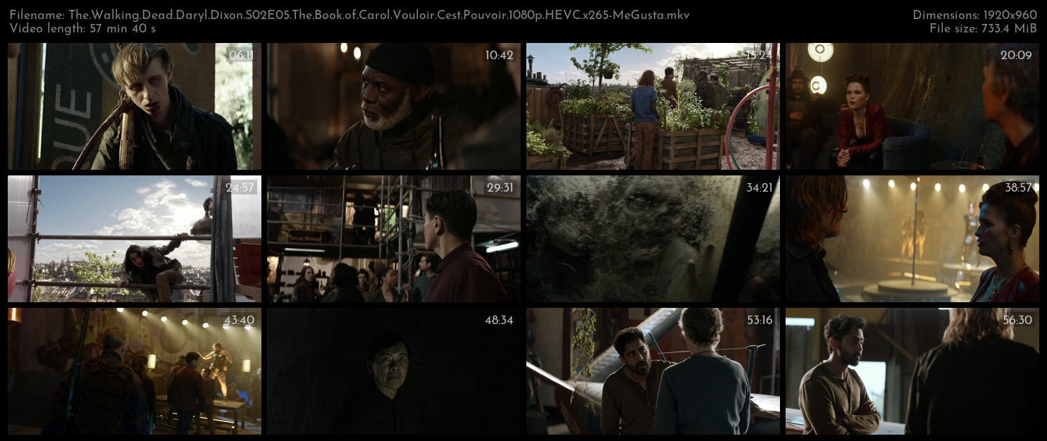 The Walking Dead Daryl Dixon S02E05 The Book of Carol Vouloir Cest Pouvoir 1080p HEVC x265 MeGusta T