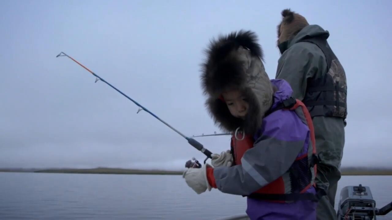 Life Below Zero S20E06 720p AMBC WEB DL AAC2 0 x264 WhiteHat TGx