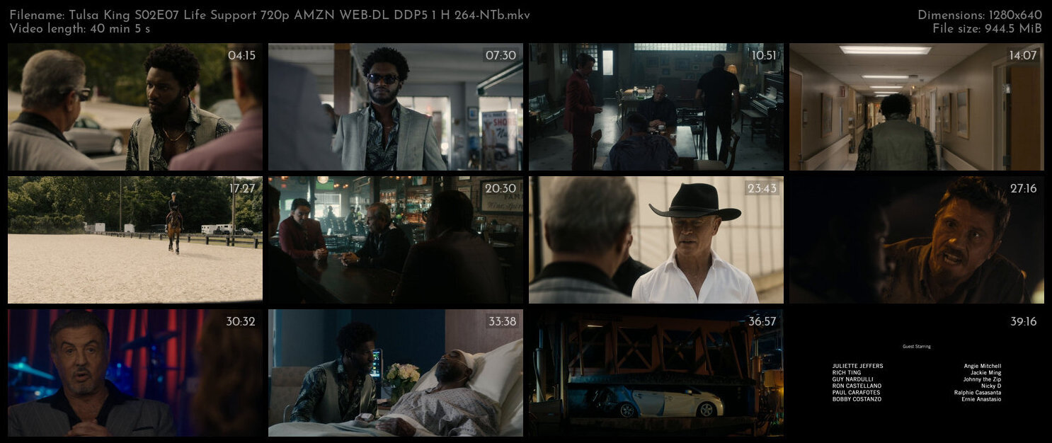 Tulsa King S02E07 Life Support 720p AMZN WEB DL DDP5 1 H 264 NTb TGx