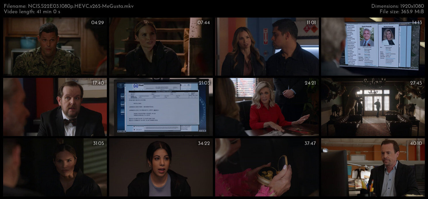 NCIS S22E03 1080p HEVC x265 MeGusta TGx