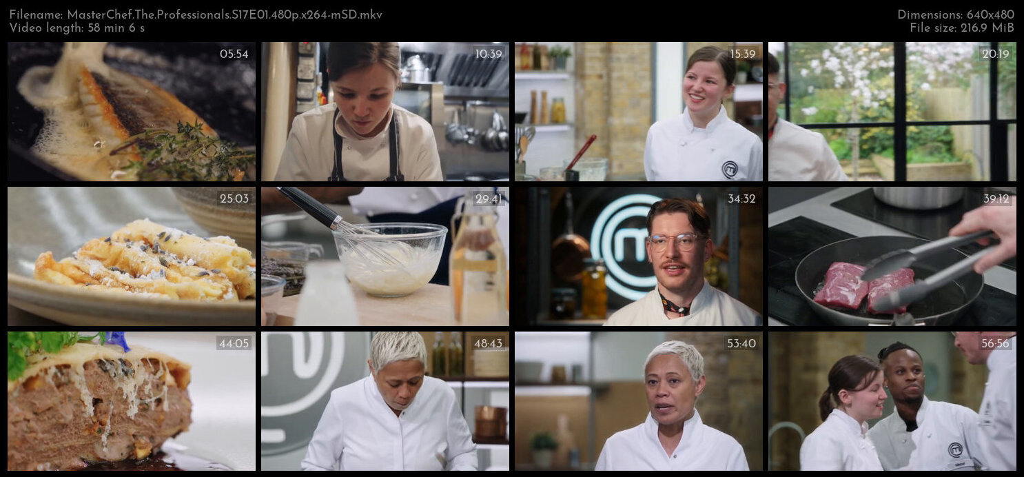 MasterChef The Professionals S17E01 480p x264 mSD TGx