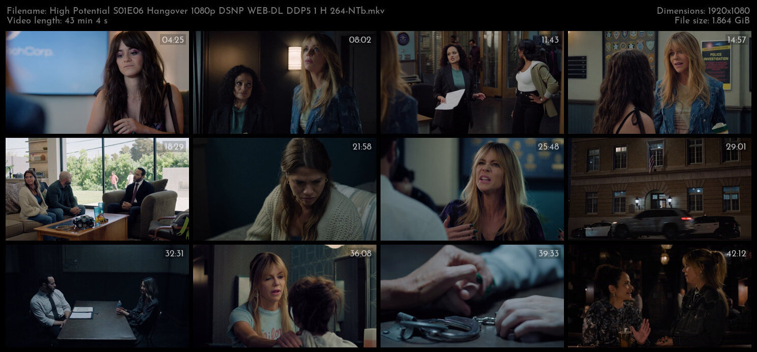 High Potential S01E06 Hangover 1080p DSNP WEB DL DDP5 1 H 264 NTb TGx