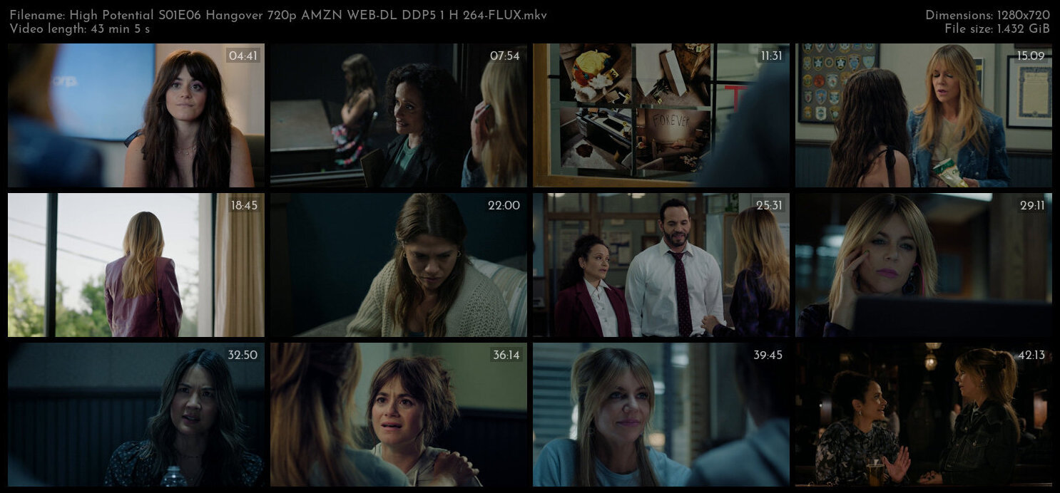 High Potential S01E06 Hangover 720p AMZN WEB DL DDP5 1 H 264 FLUX TGx