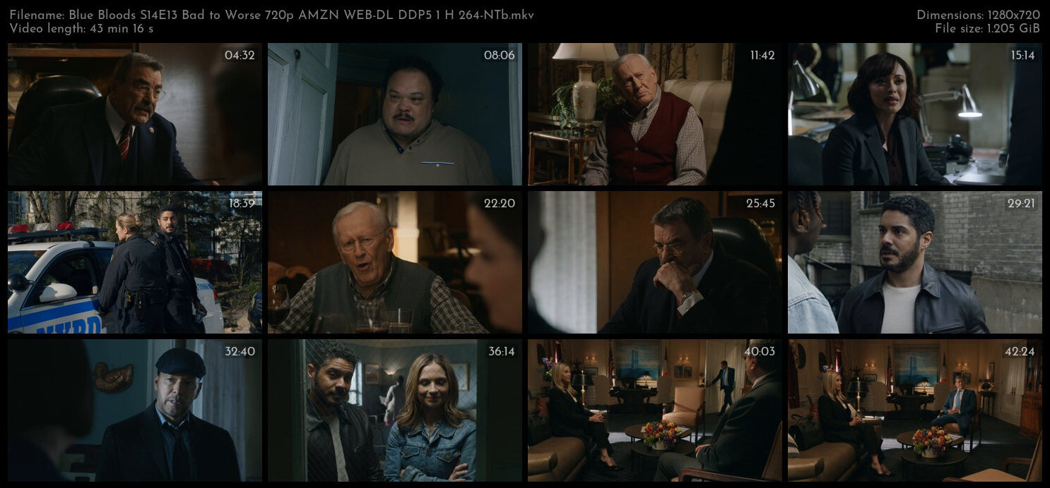 Blue Bloods S14E13 Bad to Worse 720p AMZN WEB DL DDP5 1 H 264 NTb TGx