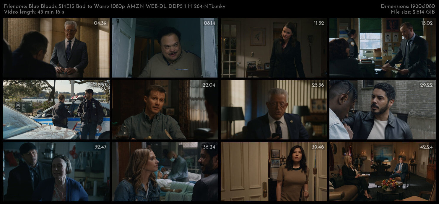 Blue Bloods S14E13 Bad to Worse 1080p AMZN WEB DL DDP5 1 H 264 NTb TGx