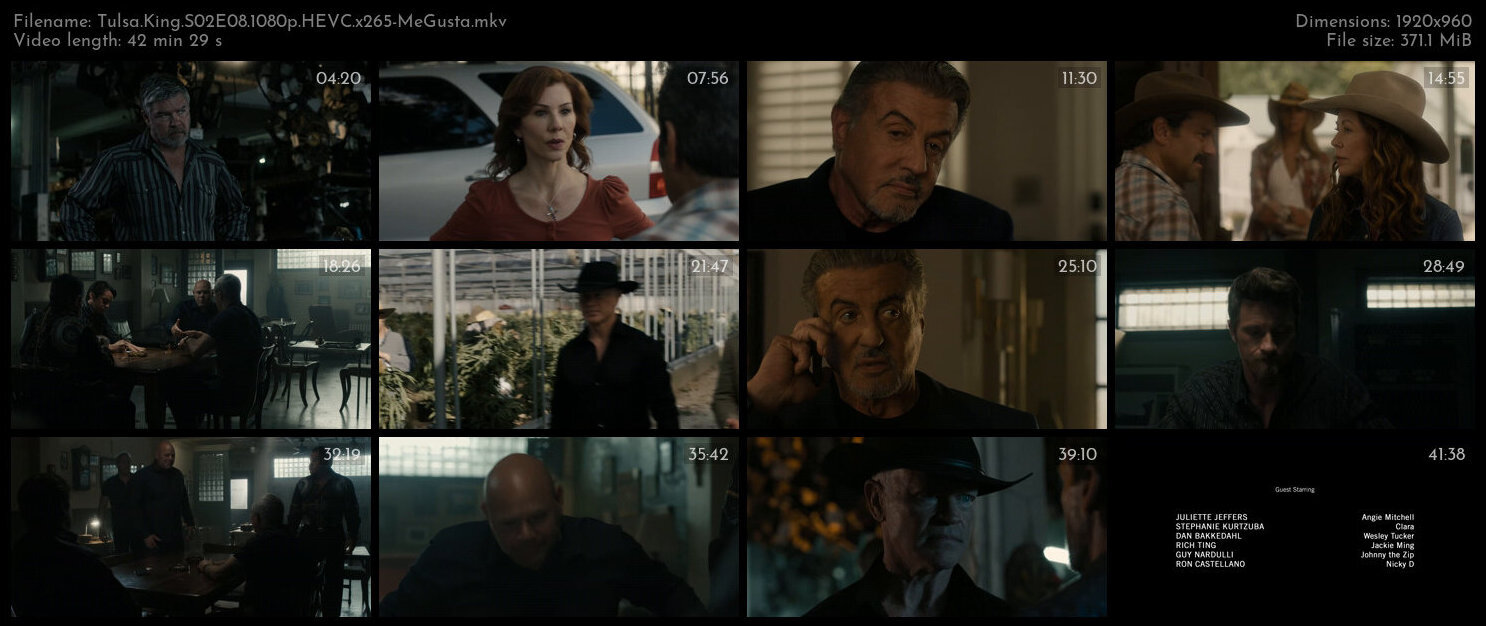 Tulsa King S02E08 1080p HEVC x265 MeGusta TGx