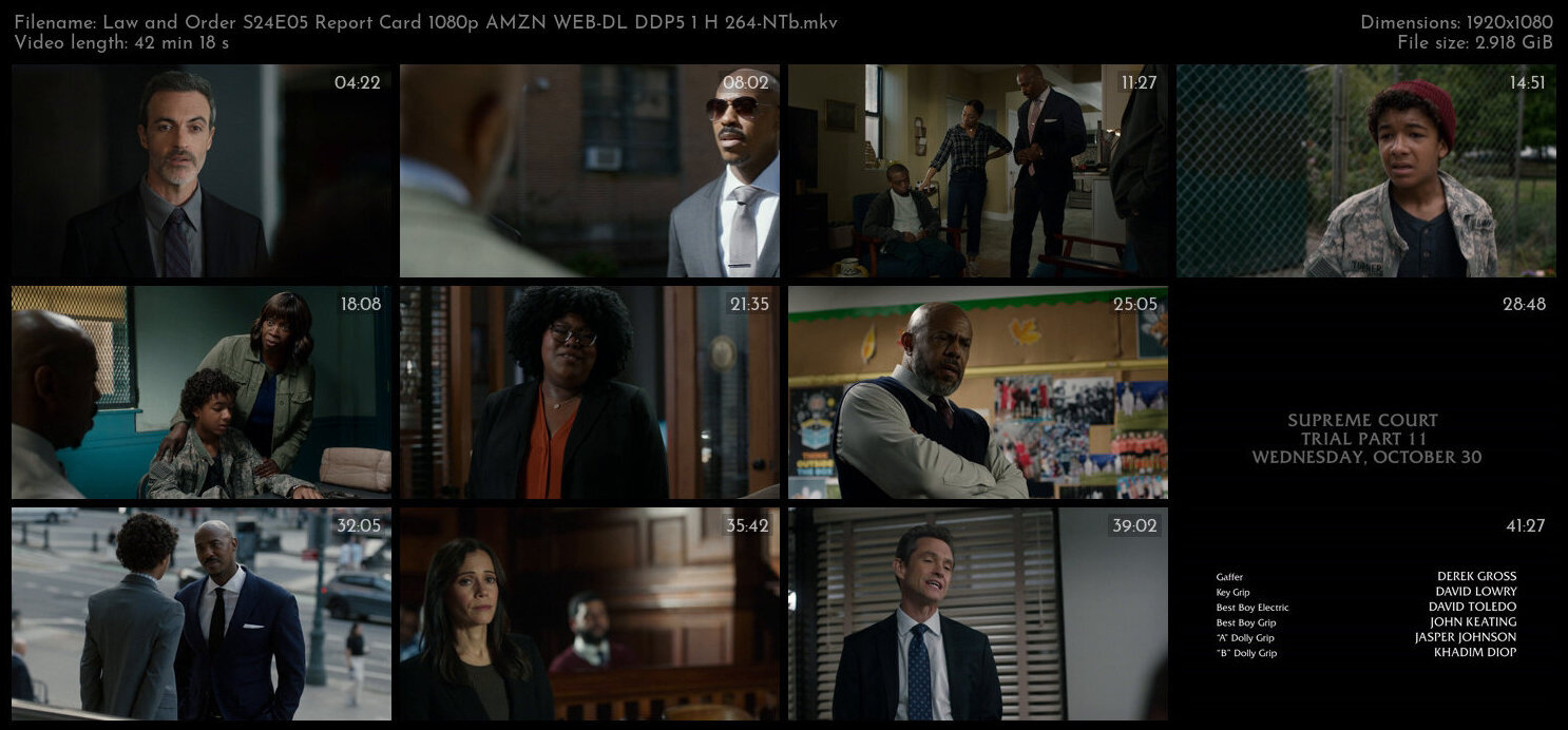 Law and Order S24E05 Report Card 1080p AMZN WEB DL DDP5 1 H 264 NTb TGx