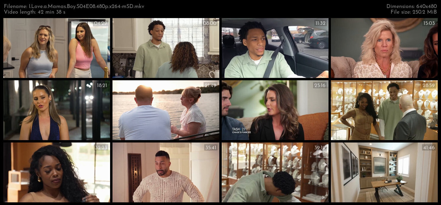 I Love a Mamas Boy S04E08 480p x264 mSD TGx