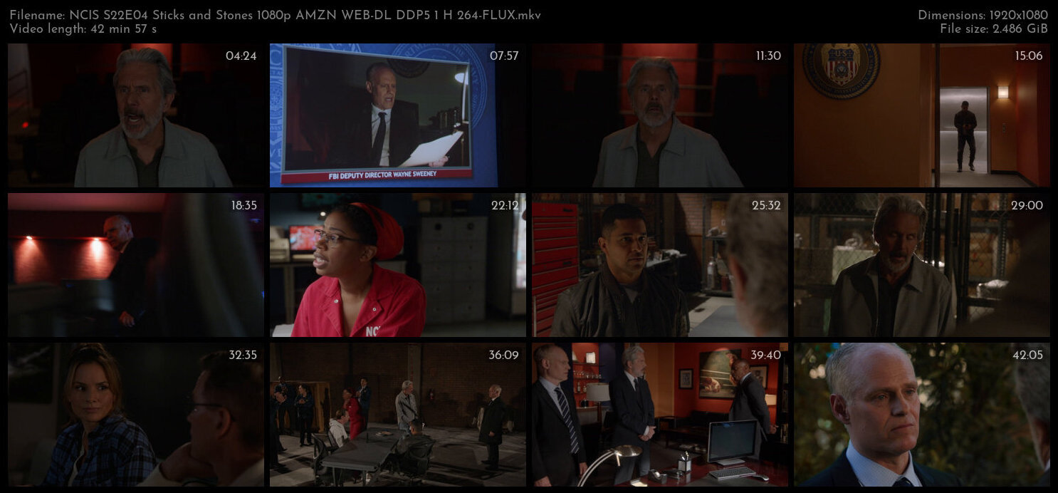 NCIS S22E04 Sticks and Stones 1080p AMZN WEB DL DDP5 1 H 264 FLUX TGx