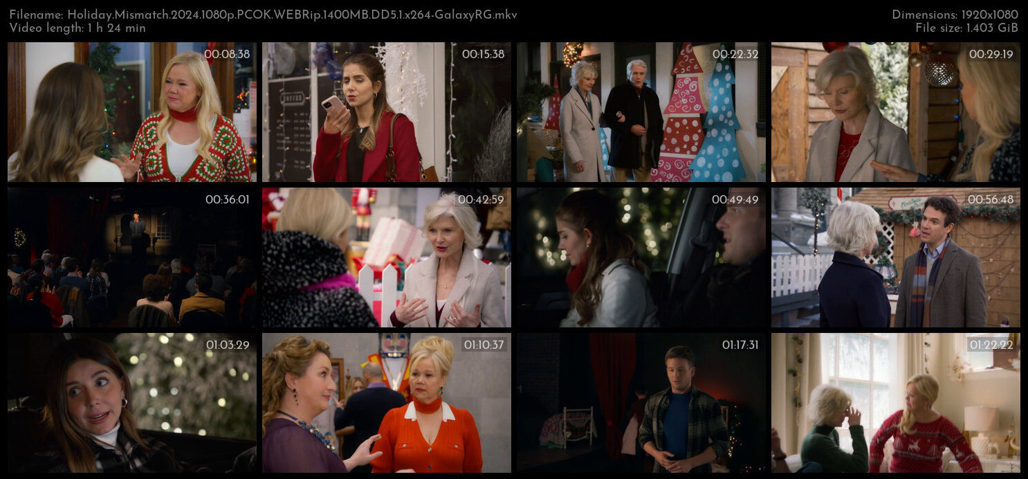 Holiday Mismatch 2024 1080p PCOK WEBRip 1400MB DD5 1 x264 GalaxyRG