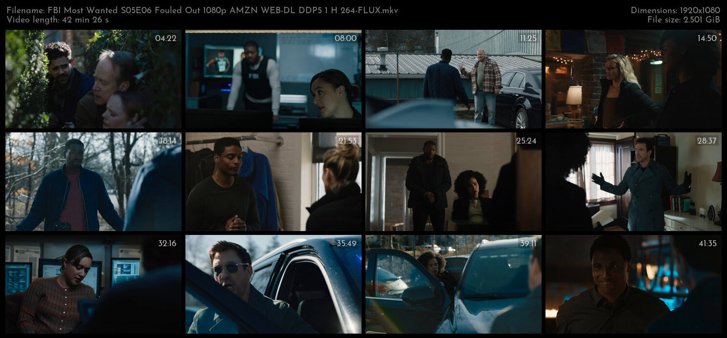 FBI Most Wanted S05E06 Fouled Out 1080p AMZN WEB DL DDP5 1 H 264 FLUX TGx