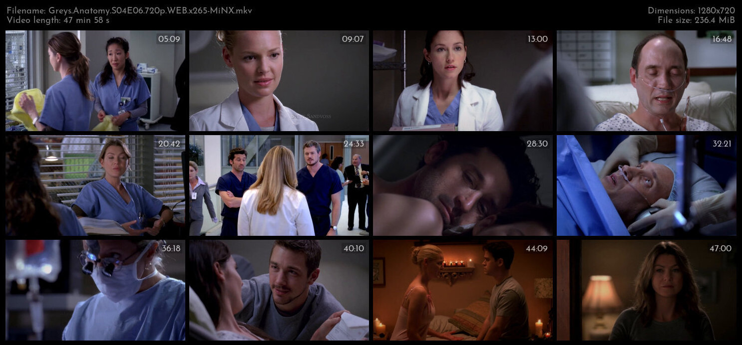 Greys Anatomy S04E06 720p WEB x265 MiNX TGx