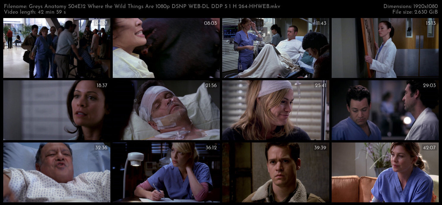 Greys Anatomy S04E12 Where the Wild Things Are 1080p DSNP WEB DL DDP 5 1 H 264 HHWEB TGx