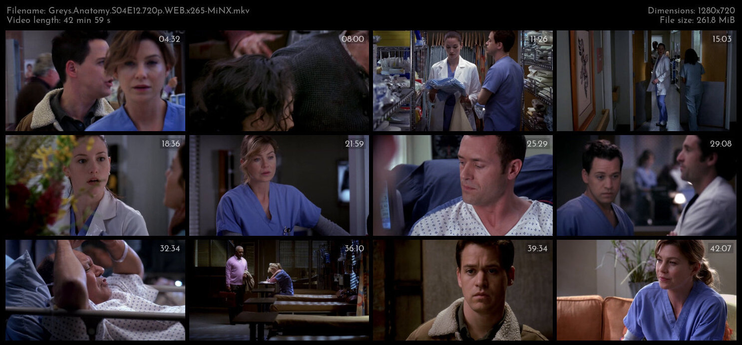 Greys Anatomy S04E12 720p WEB x265 MiNX TGx