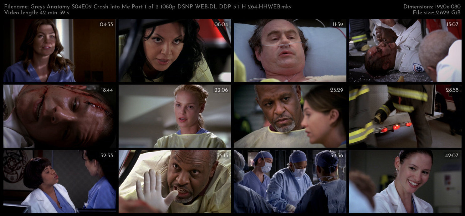 Greys Anatomy S04E09 Crash Into Me Part 1 of 2 1080p DSNP WEB DL DDP 5 1 H 264 HHWEB TGx