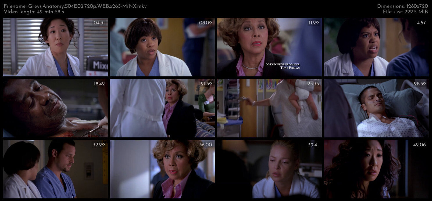 Greys Anatomy S04E02 720p WEB x265 MiNX TGx