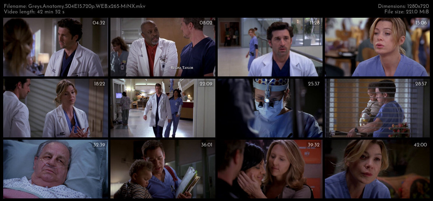 Greys Anatomy S04E15 720p WEB x265 MiNX TGx