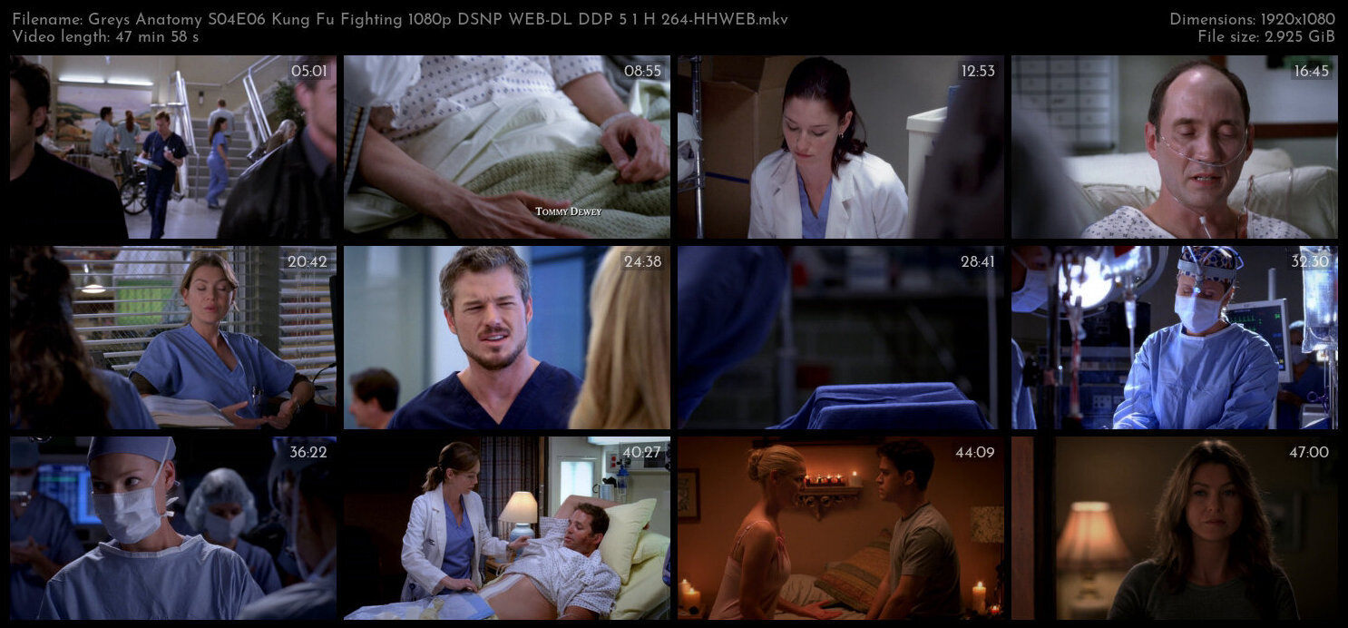 Greys Anatomy S04E06 Kung Fu Fighting 1080p DSNP WEB DL DDP 5 1 H 264 HHWEB TGx