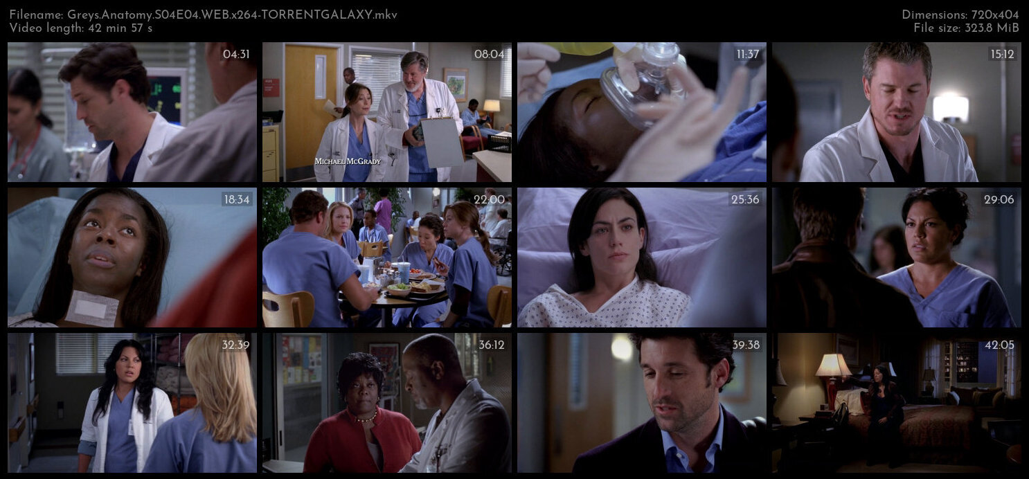 Greys Anatomy S04E04 WEB x264 TORRENTGALAXY