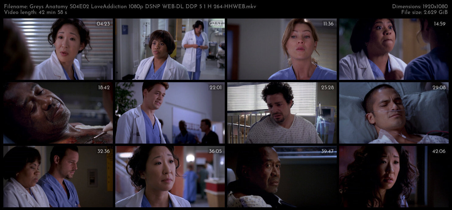 Greys Anatomy S04E02 LoveAddiction 1080p DSNP WEB DL DDP 5 1 H 264 HHWEB TGx