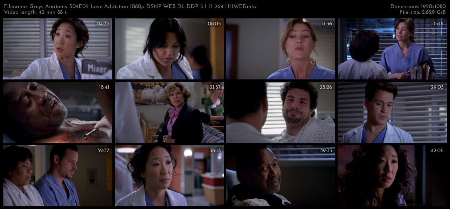 Greys Anatomy S04E02 Love Addiction 1080p DSNP WEB DL DDP 5 1 H 264 HHWEB TGx