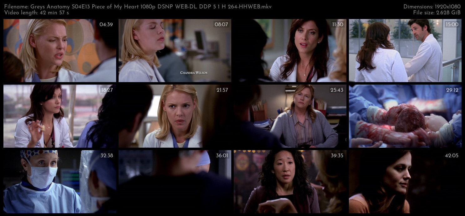 Greys Anatomy S04E13 Piece of My Heart 1080p DSNP WEB DL DDP 5 1 H 264 HHWEB TGx