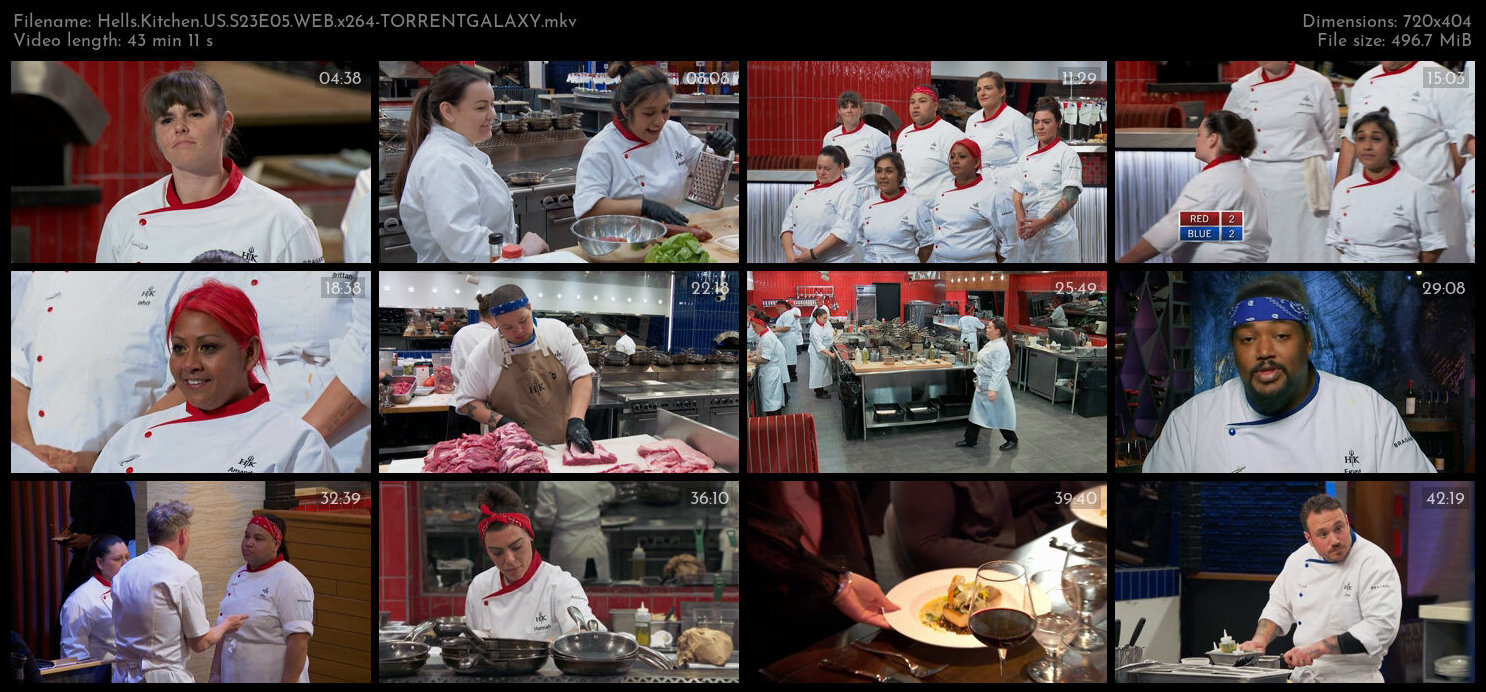 Hells Kitchen US S23E05 WEB x264 TORRENTGALAXY