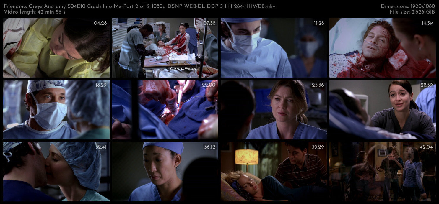 Greys Anatomy S04E10 Crash Into Me Part 2 of 2 1080p DSNP WEB DL DDP 5 1 H 264 HHWEB TGx