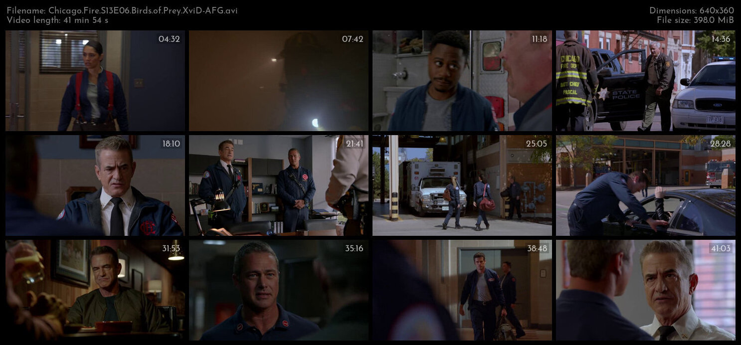 Chicago Fire S13E06 Birds of Prey XviD AFG TGx