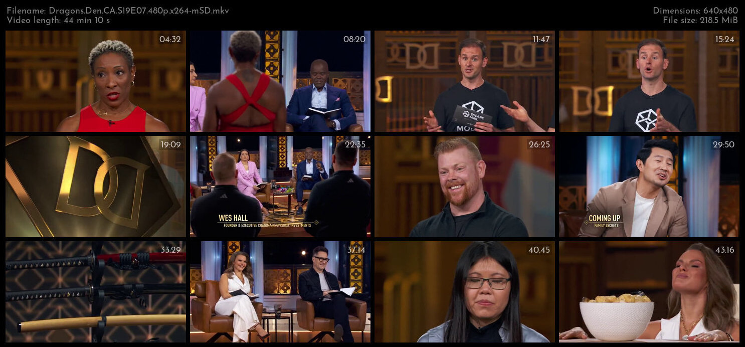 Dragons Den CA S19E07 480p x264 mSD TGx