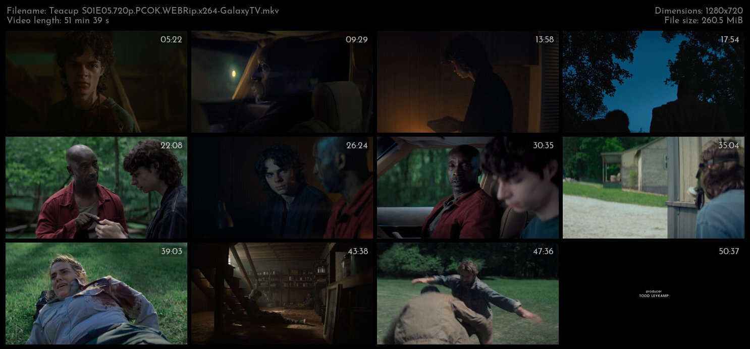 Teacup S01 COMPLETE 720p PCOK WEBRip x264 GalaxyTV