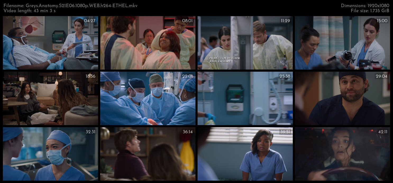 Greys Anatomy S21E06 1080p WEB h264 ETHEL TGx