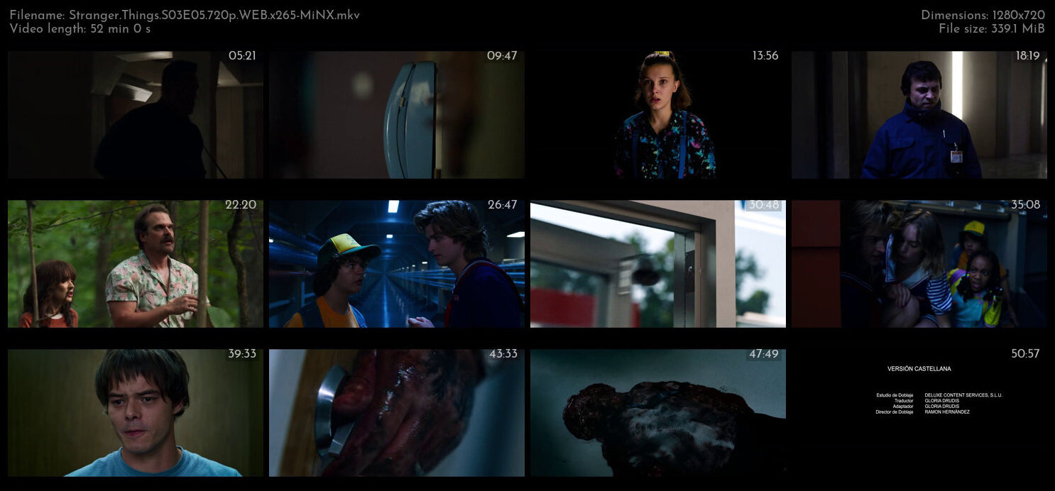 Stranger Things S03E05 720p WEB x265 MiNX TGx