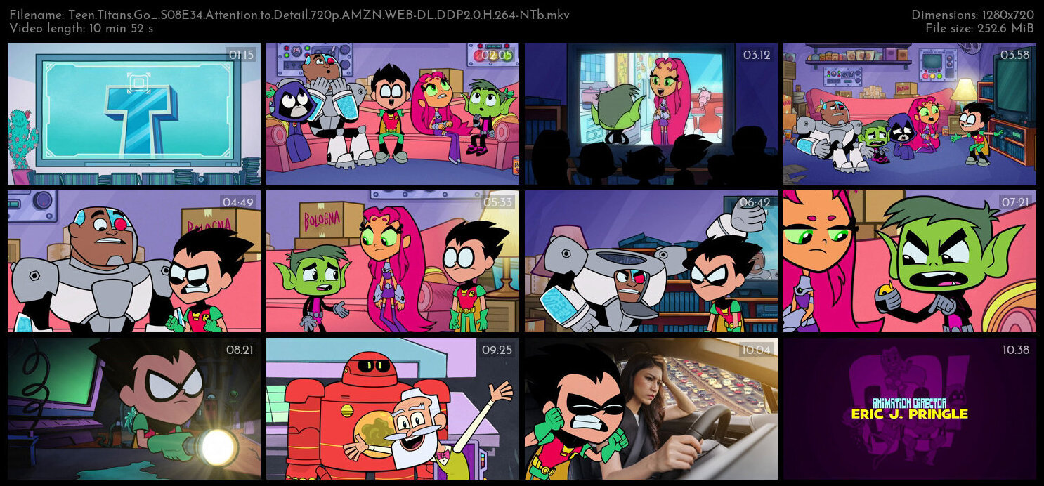 Teen Titans Go S08E34 Attention to Detail 720p AMZN WEB DL DDP2 0 H 264 NTb TGx