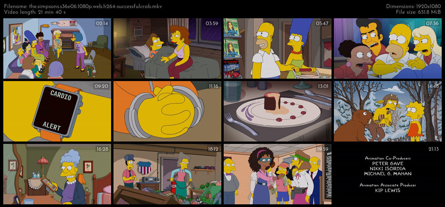 The Simpsons S36E06 1080p WEB H264 SuccessfulCrab TGx