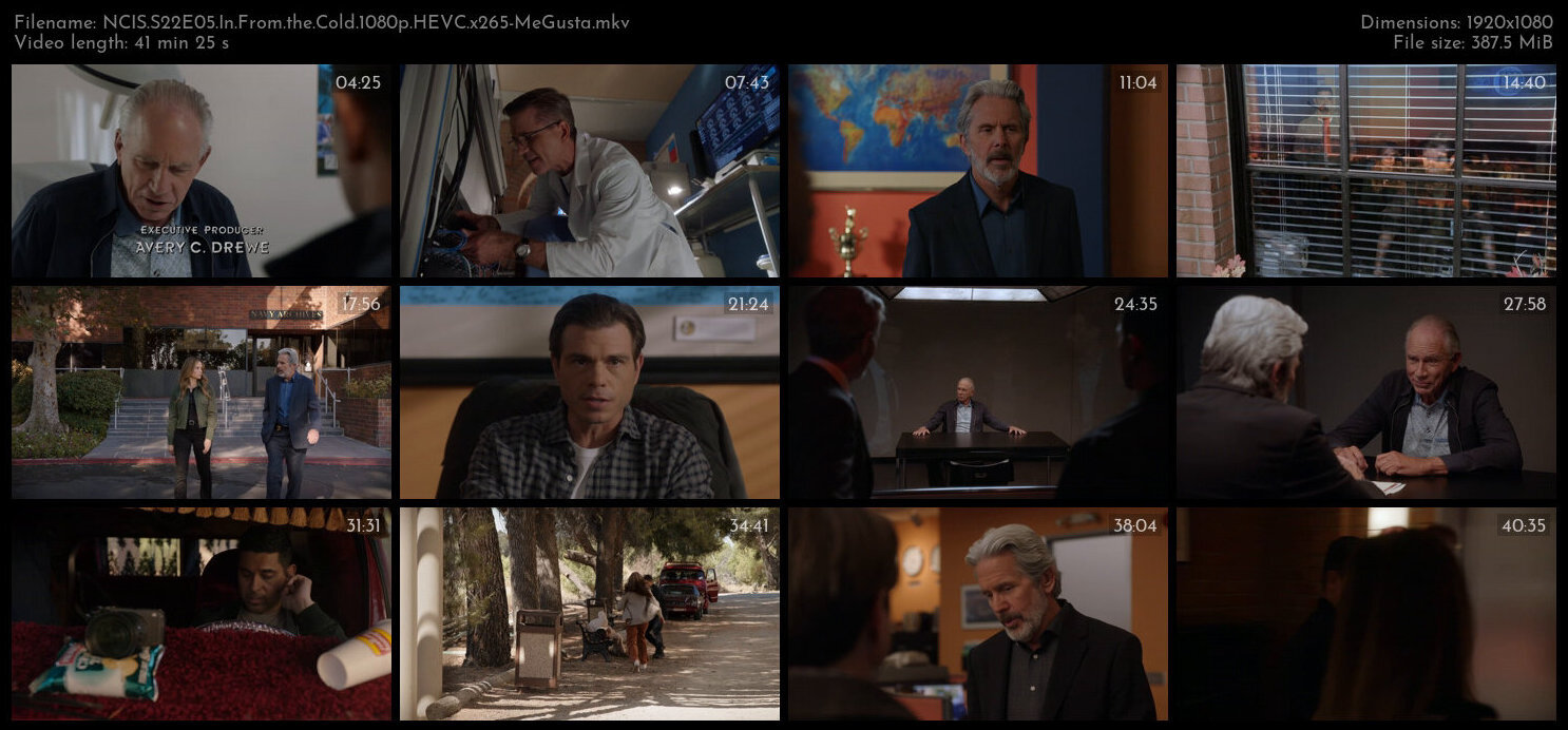 NCIS S22E05 In From the Cold 1080p HEVC x265 MeGusta TGx