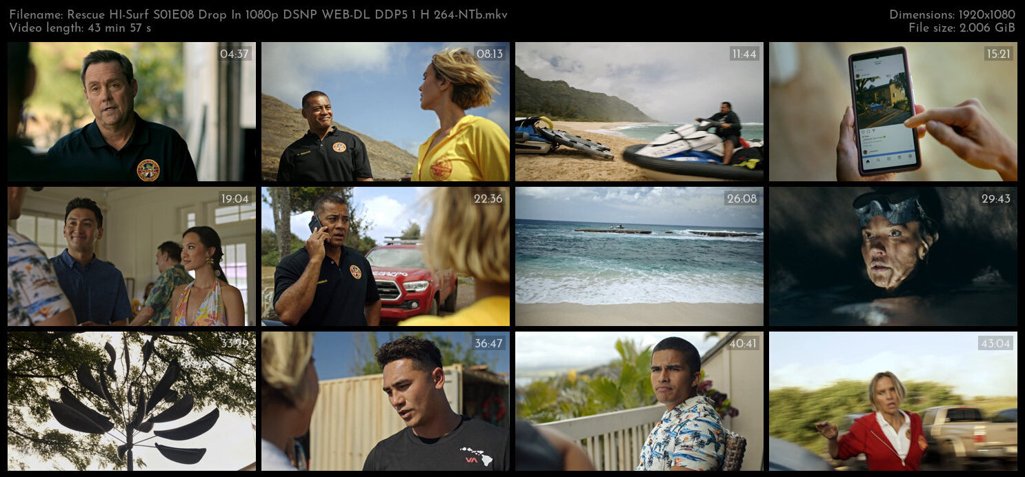 Rescue HI Surf S01E08 Drop In 1080p DSNP WEB DL DDP5 1 H 264 NTb TGx