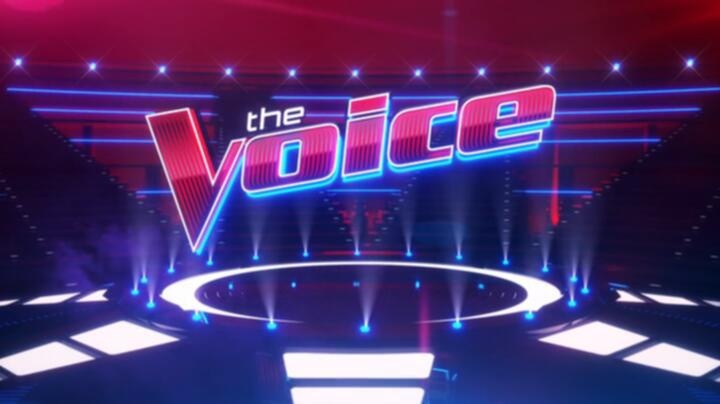 The Voice S26E12 WEB x264 TORRENTGALAXY