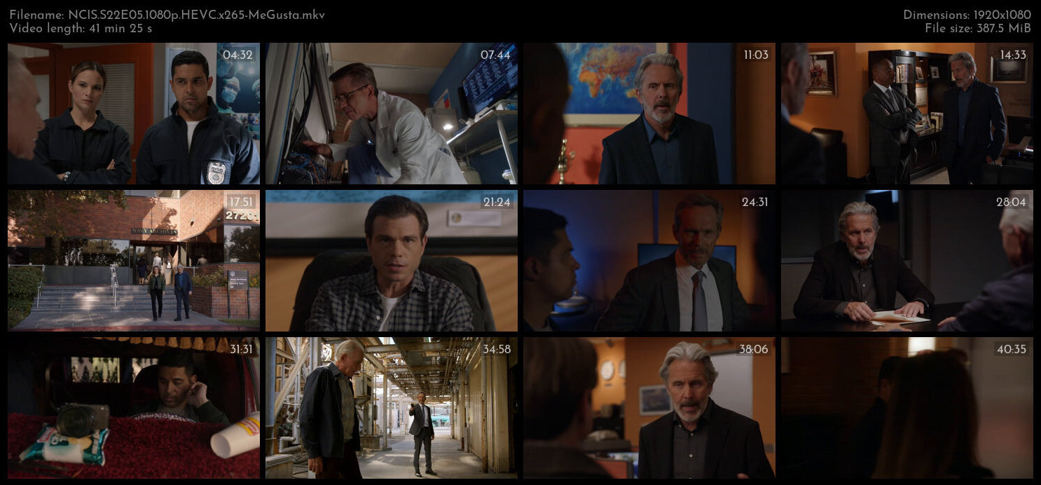 NCIS S22E05 1080p HEVC x265 MeGusta TGx