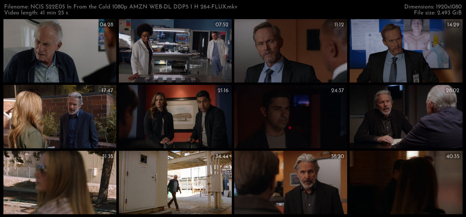 NCIS S22E05 In From the Cold 1080p AMZN WEB DL DDP5 1 H 264 FLUX TGx