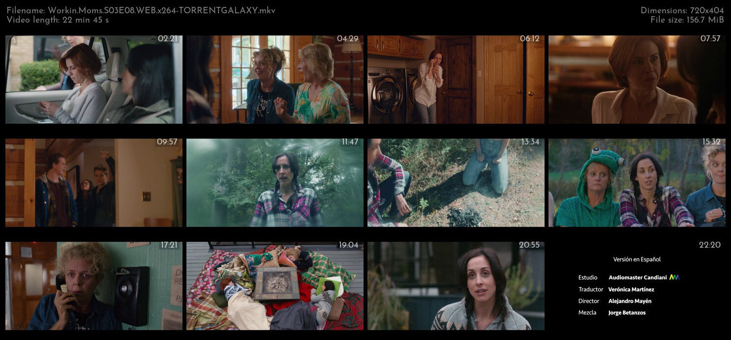 Workin Moms S03E08 WEB x264 TORRENTGALAXY