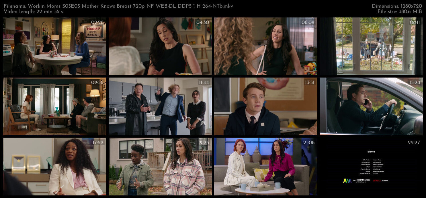 Workin Moms S05E05 Mother Knows Breast 720p NF WEB DL DDP5 1 H 264 NTb TGx